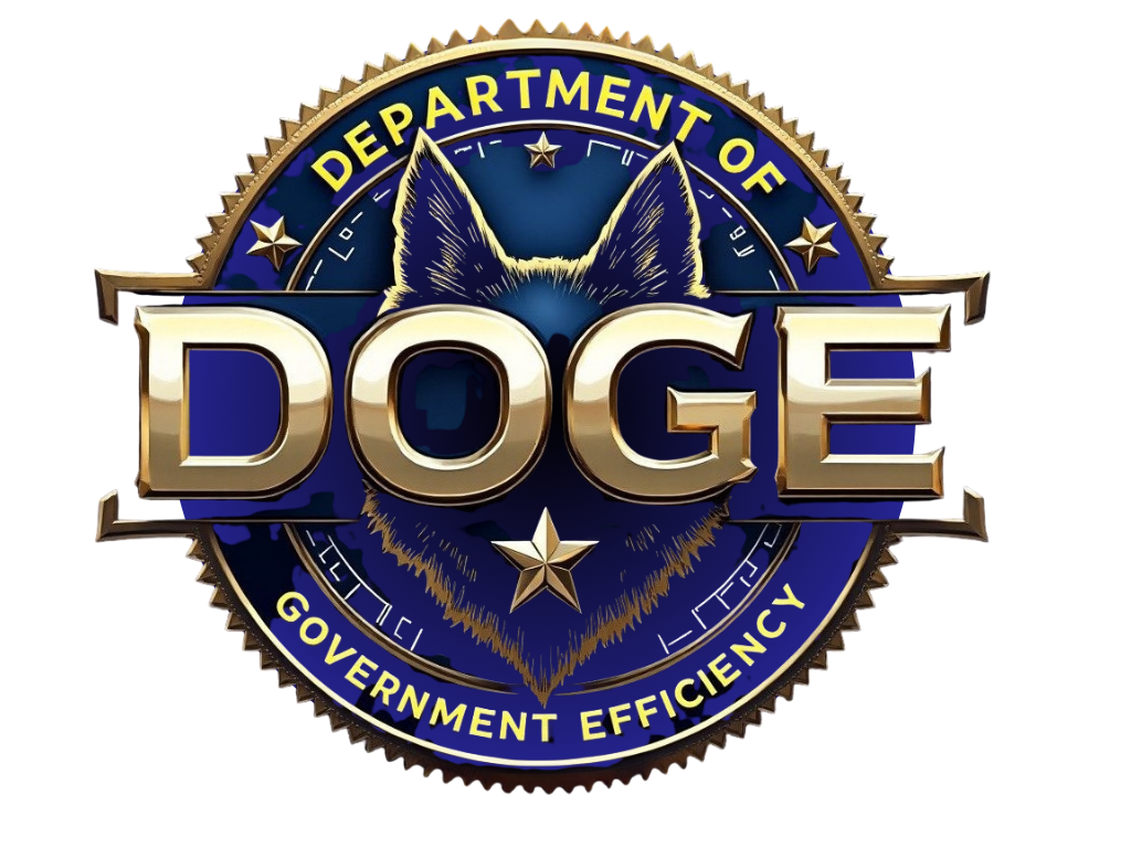 Department of Government Efficiency